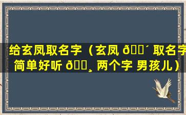 给玄凤取名字（玄凤 🌴 取名字简单好听 🕸 两个字 男孩儿）